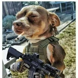 Meet your Posher, Joseph